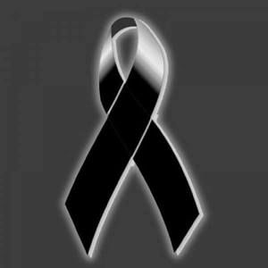 Meet your Posher, Jose martin